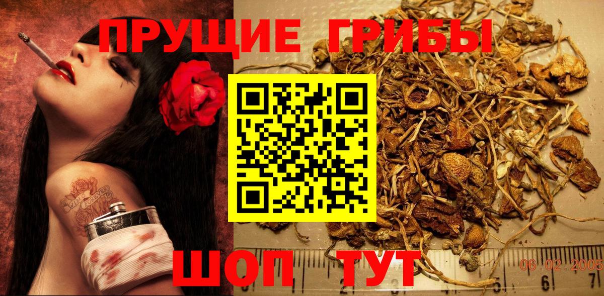 Псилоцибиновые грибы Psilocybine cubensis  Галлюциногенные грибы Psilocybe  Когалым  Вход с VPN 